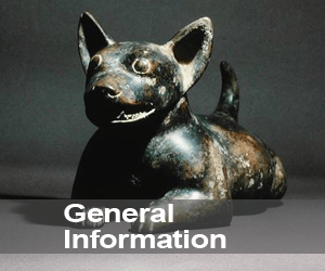 General Information